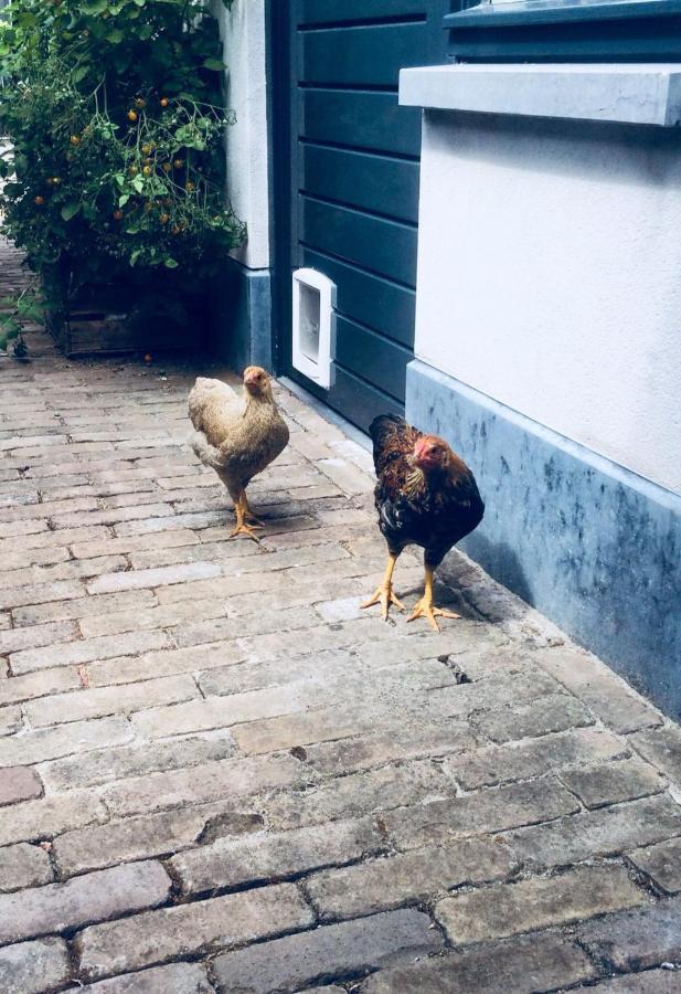 Bed & Breakfast Yerseke Εξωτερικό φωτογραφία
